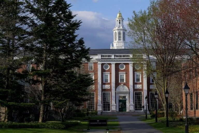 03d68453-c47d-4fe4-af59-d0b6960c097f