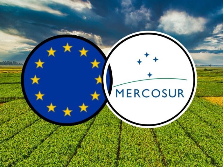 mercosur