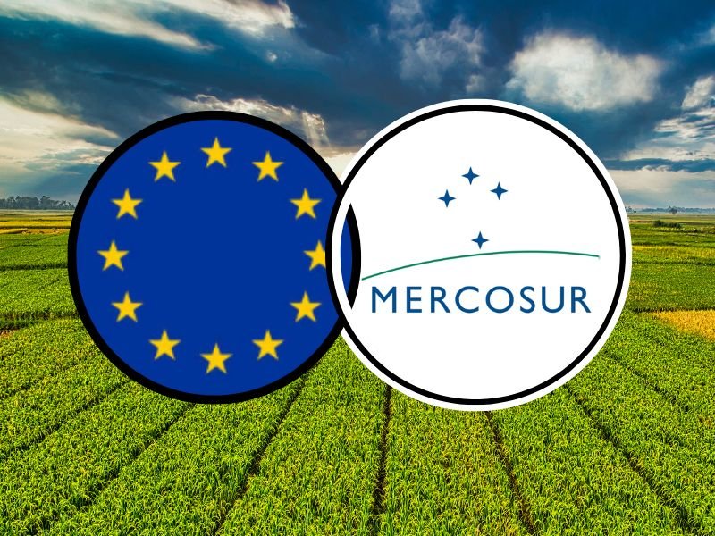 mercosur